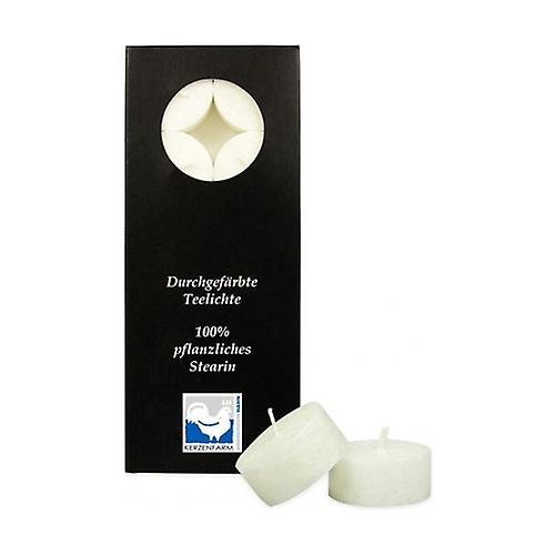 White tea candle 10 units