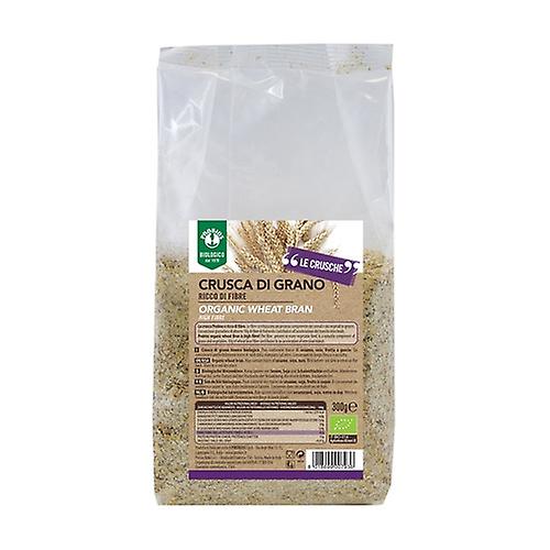 Soft wheat bran 300 g