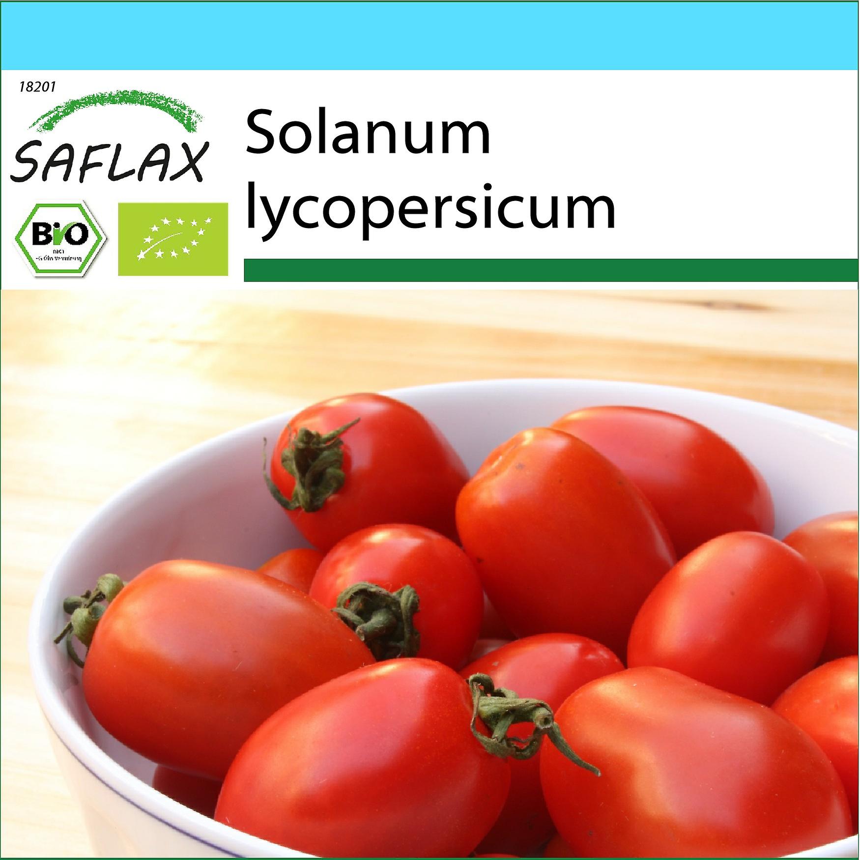 Aqua Dragon Starter Kit - Schiudi E Alleva Animali Marini In Casa