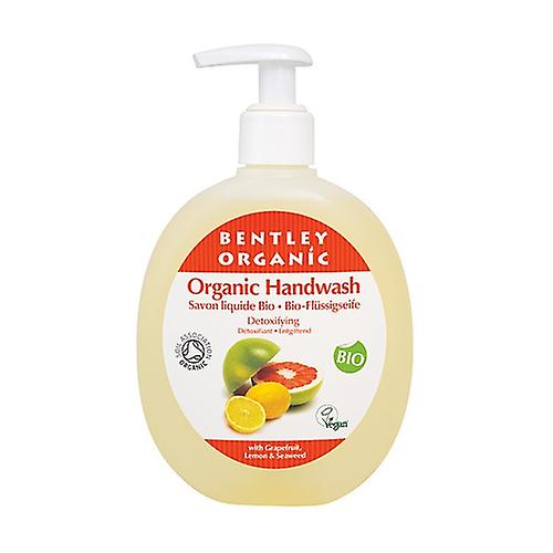 Detox Liquid Hand Soap 250 ml (Lemon - Grapefruit - Algae)