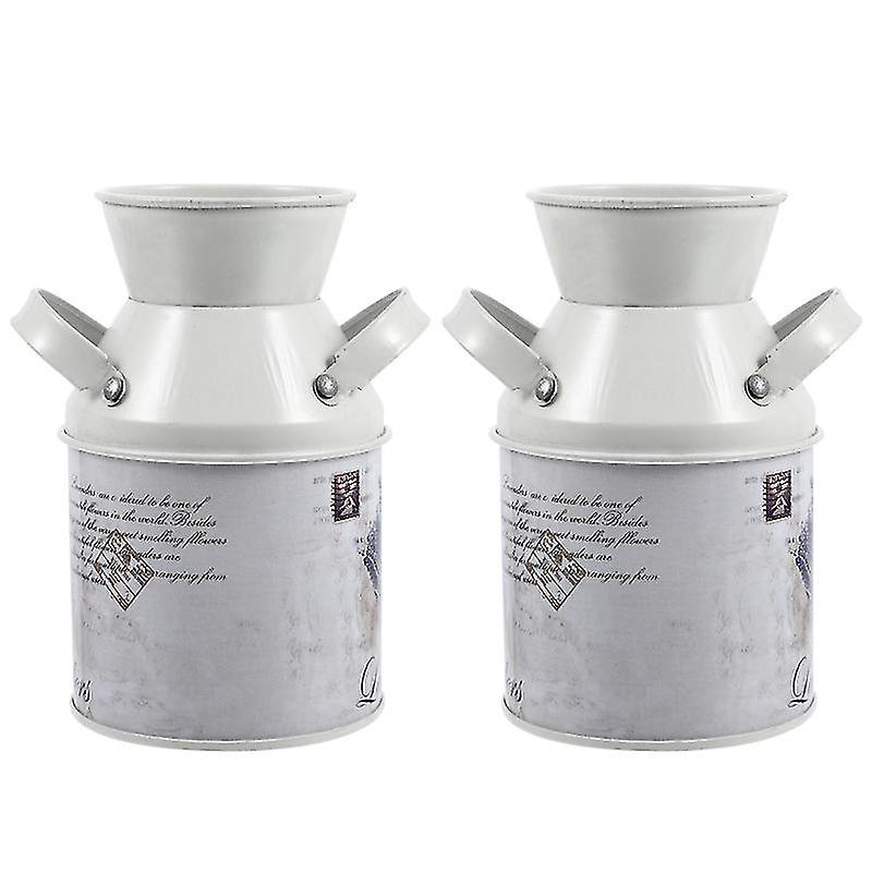 2pcs Iron Flower Container