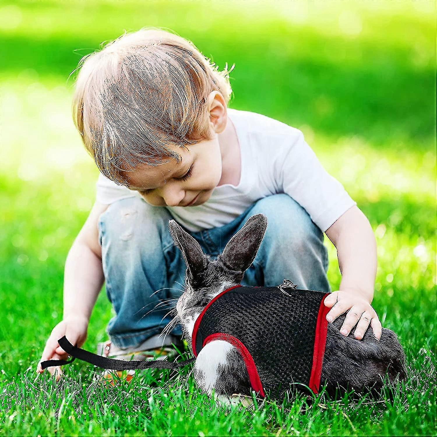 Rabbit Harness Lead Soft Harness Compatible With Rabbits Mesh (l, Black)