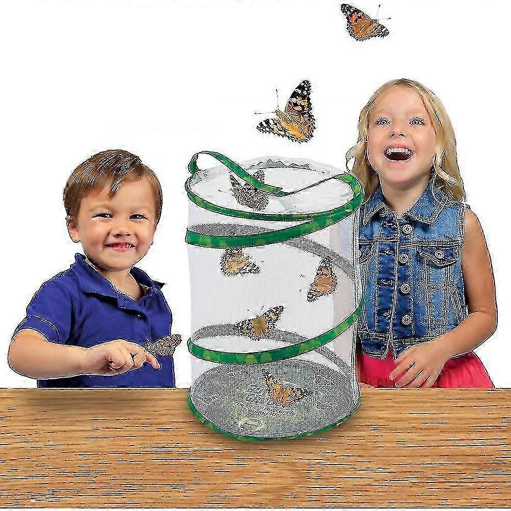 Habitat borboleta e lagartas, ciência da vida e educação