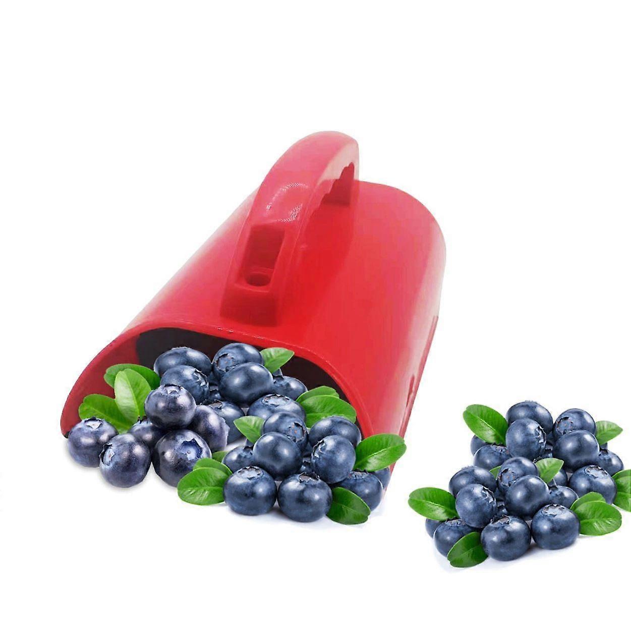 Berry Picker Blueberry Cherry Fruit Pick Rake with Comb Gardening Tools