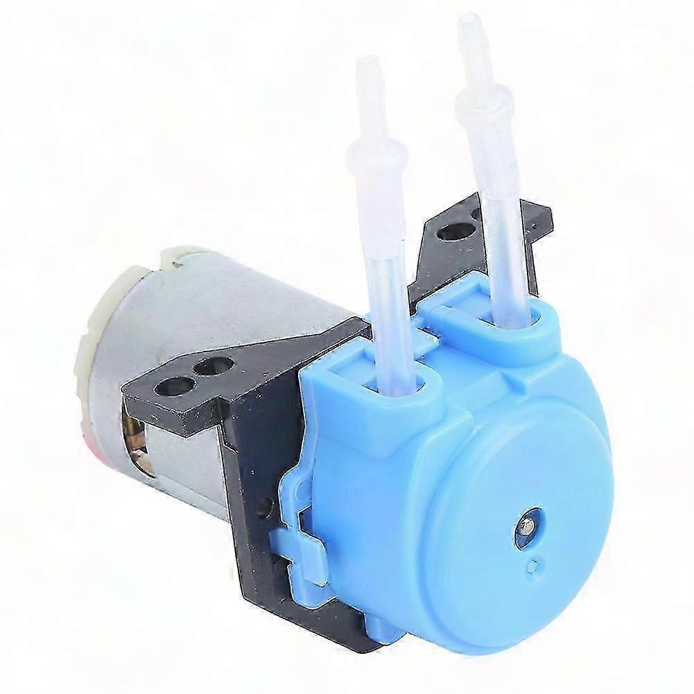 12V DC Mini Right Angle Hose Pump for Garden Use (Blue)