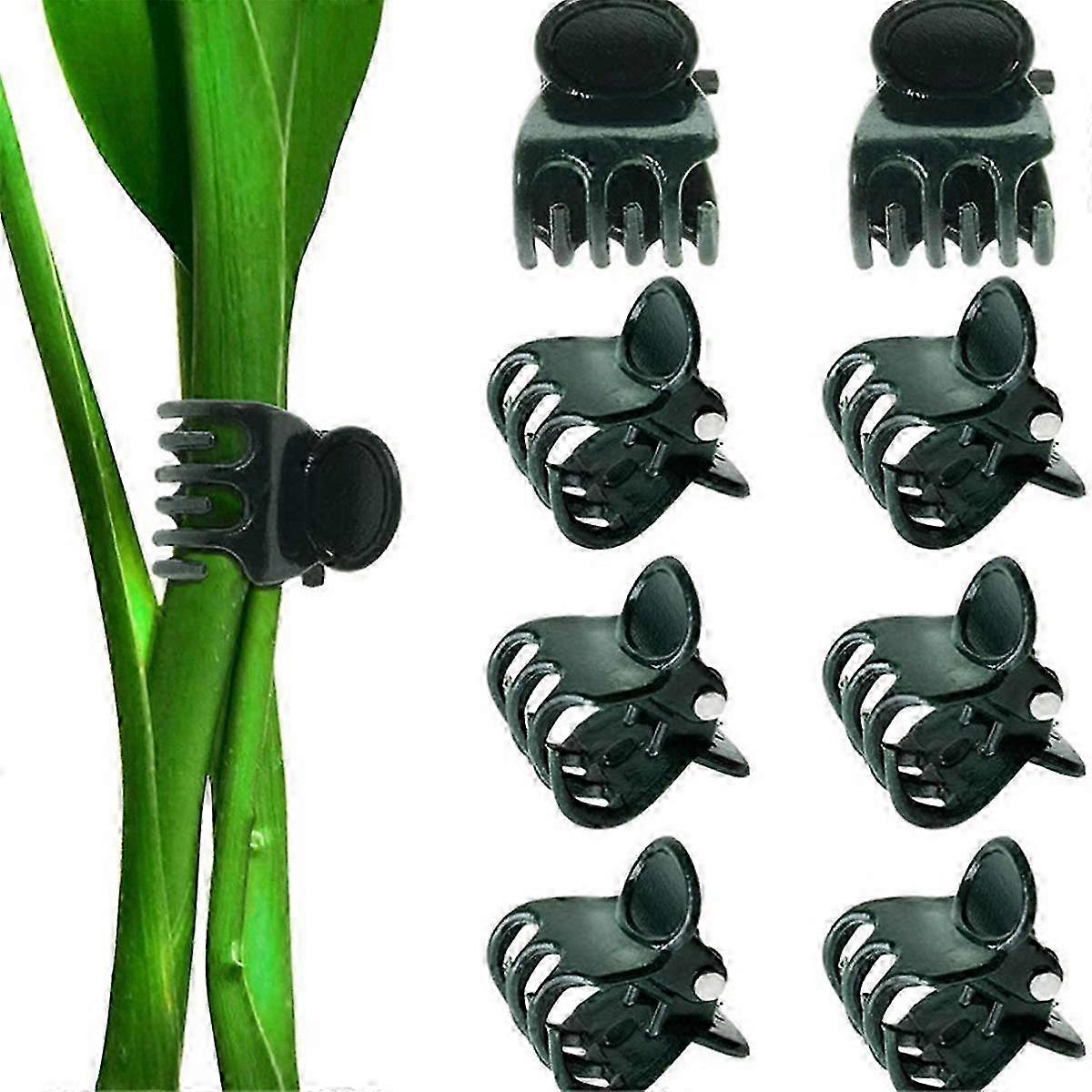 Large Garden Plant Clips with Orchid Stem Support for Binding Branches, Clamping Tool for Vines & Vegetables