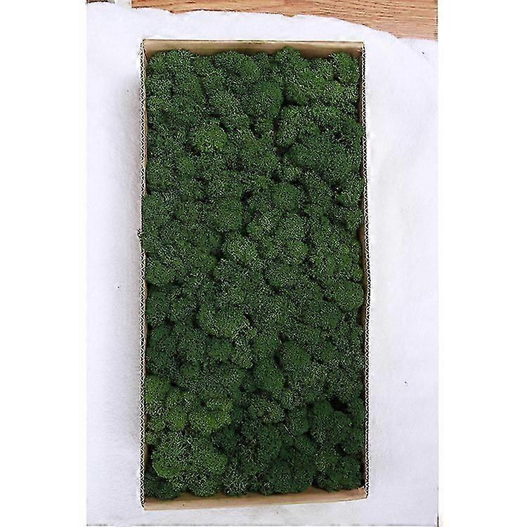 Natural Preserved Moss Wall Decor - Maintenance-Free and Realistic for Indoor Green Aesthetics in UK Homes