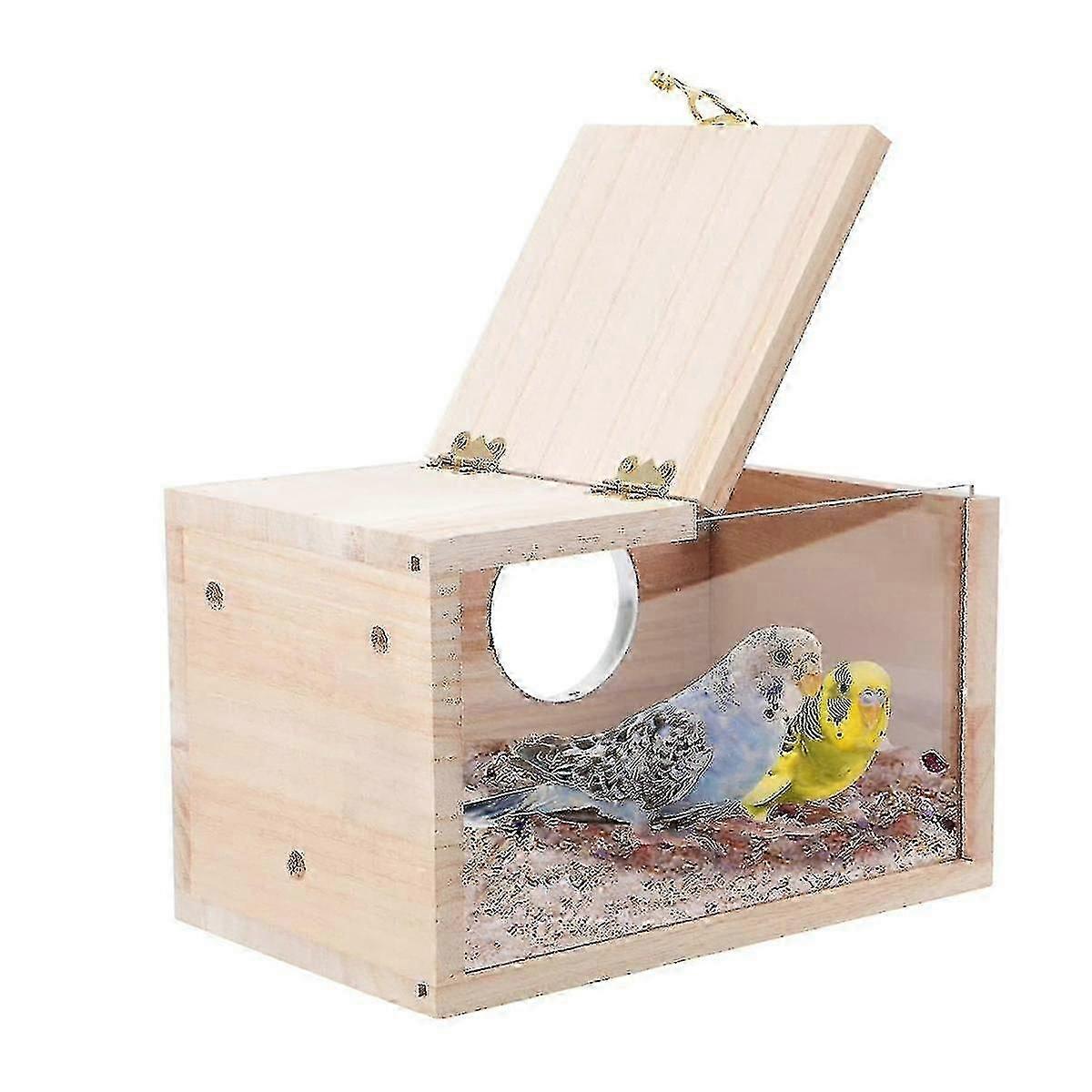 Transparent parakeet house for breeding and nesting
