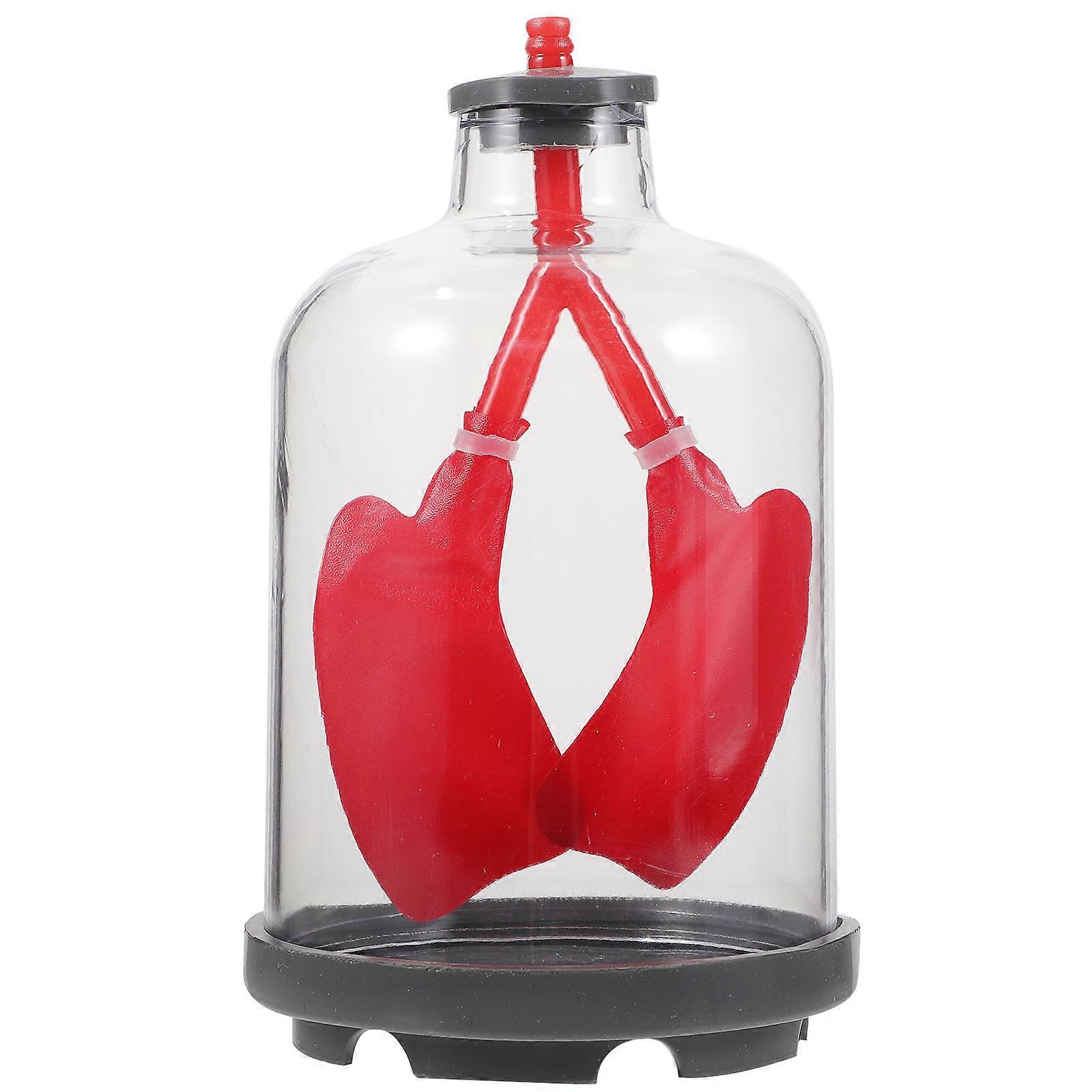 Lung Function Demonstration Model Educational Lung Breathing Model Physiological Teaching Aid