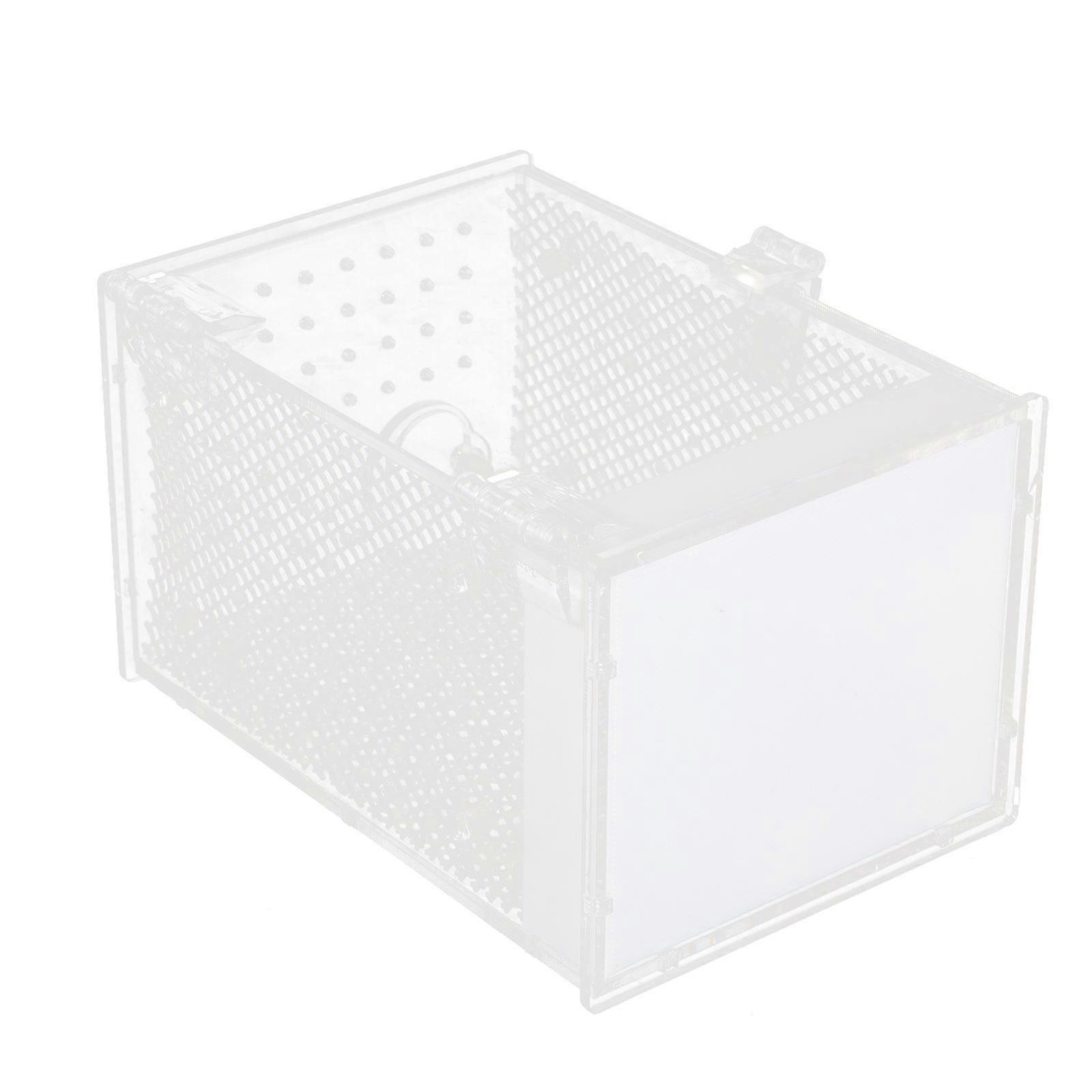 Acrylic Mantis Feeding Box for Insect White Reptile Display Feeder