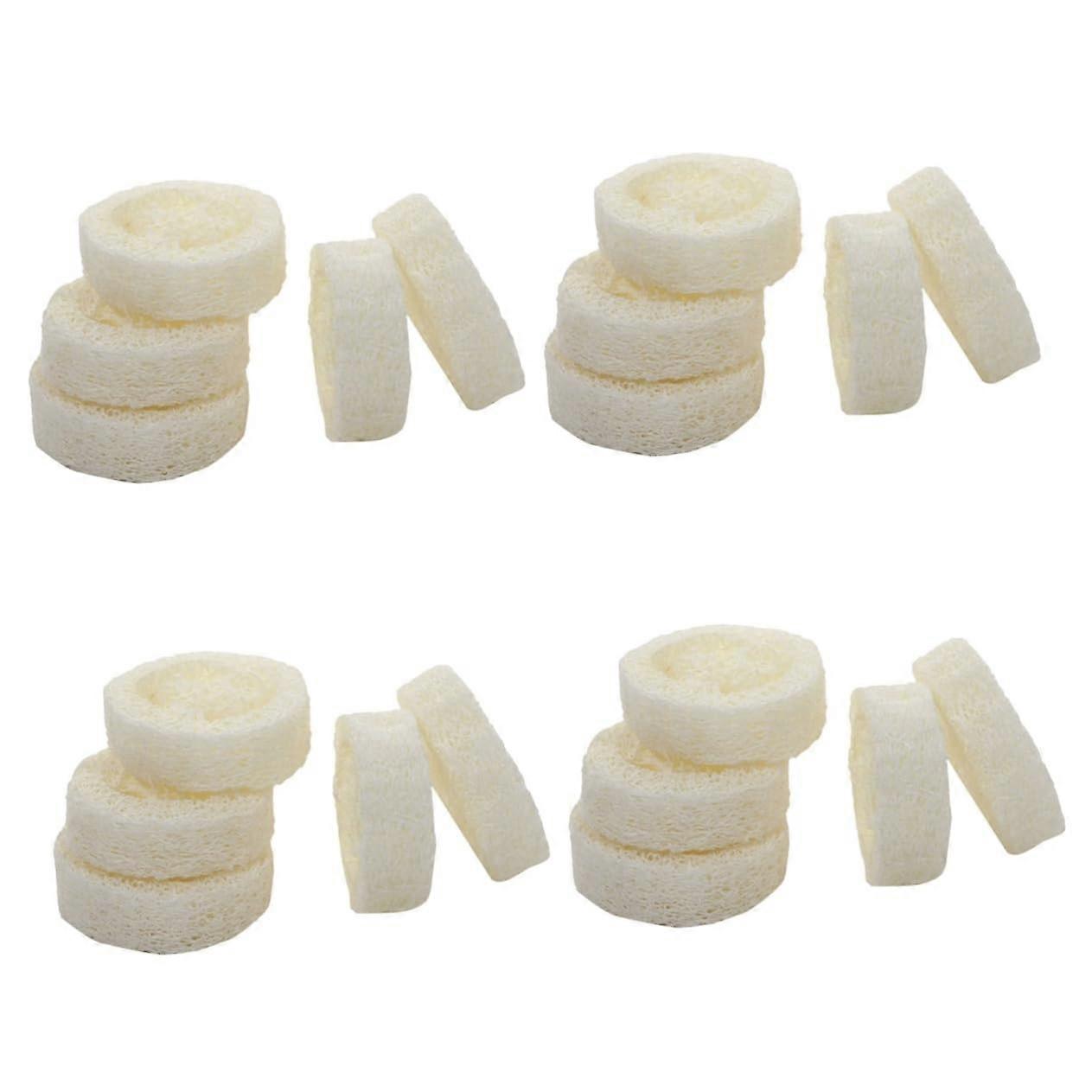 Natural Loofah Soap Holder and Bath Sponge Set, Quick Drying, EcoFriendly Bathroom Accessory