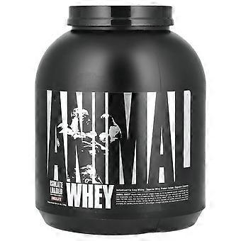 Animal, Isolate Loaded Whey Protein Powder, Chocolate , 4 lb (1.81 kg)