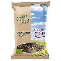 Blueberry leaves Bio 30 g