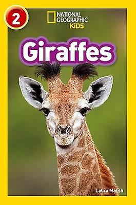 Giraffes