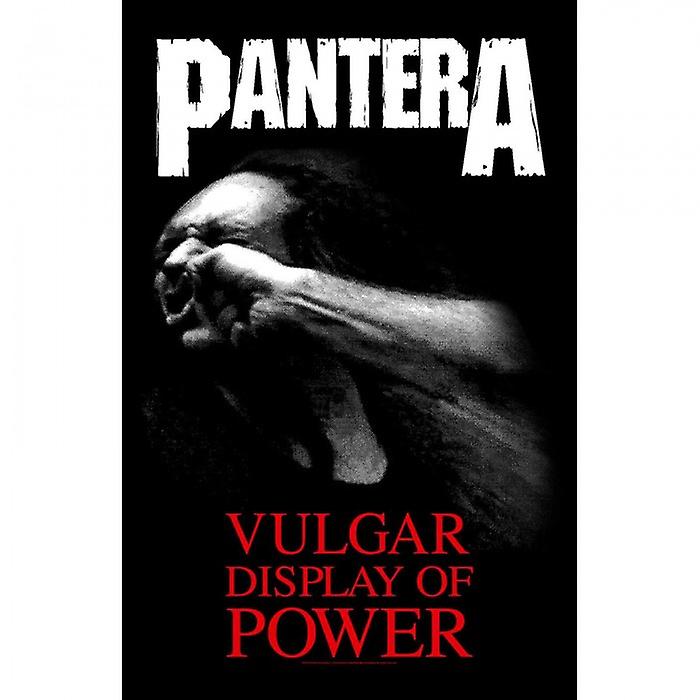 Pantera Vulgar Display Of Power Textile Poster
