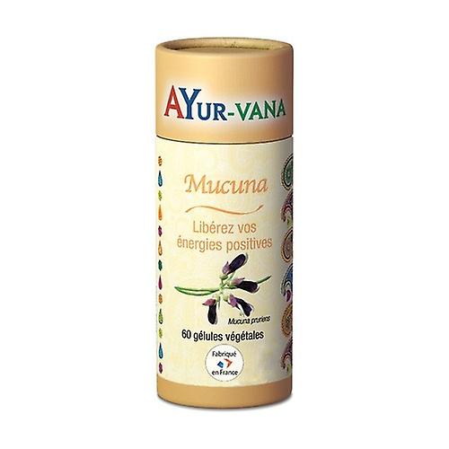 Mucuna nervous system 60 vegetable capsules