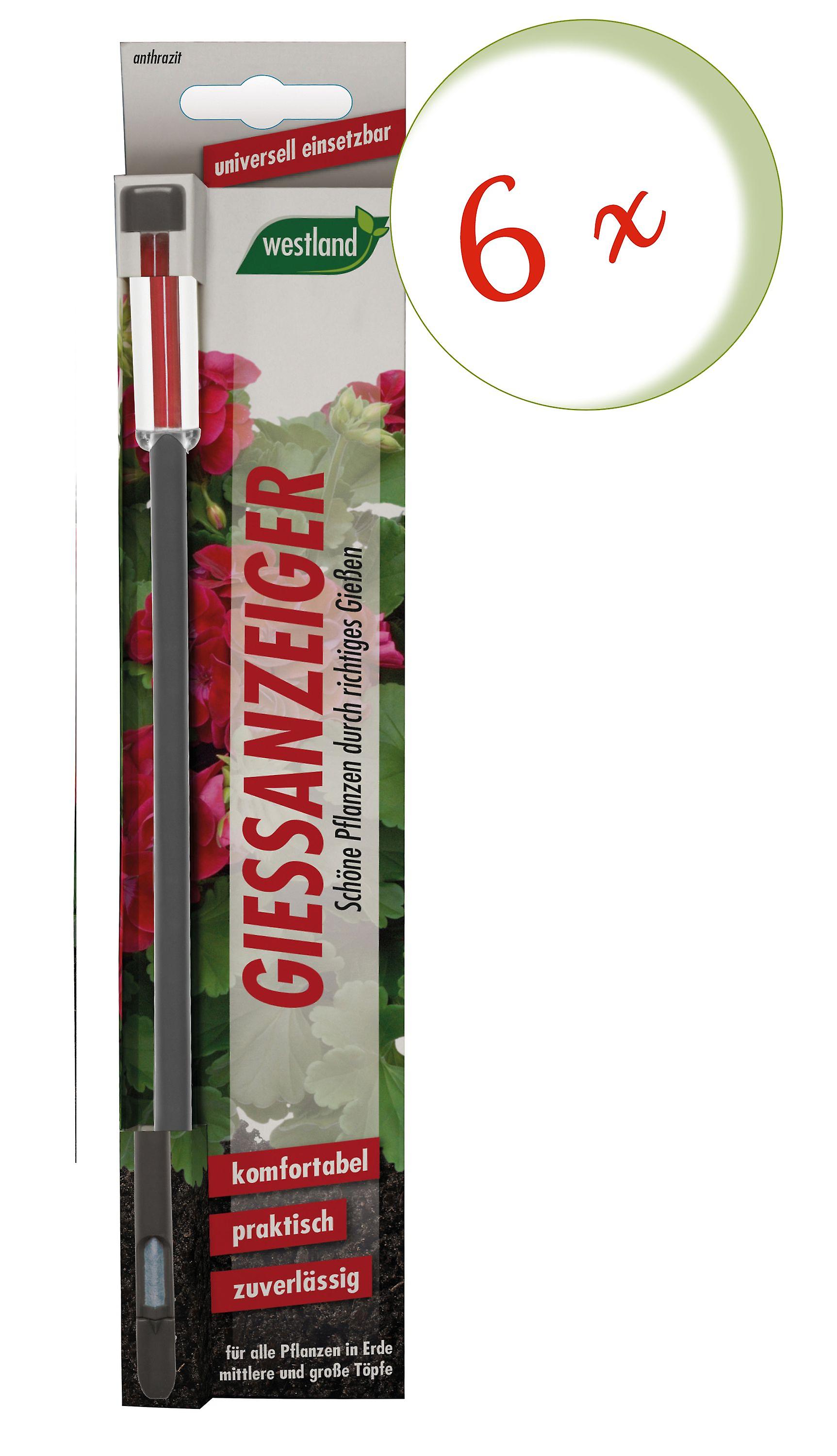 6 x WESTLAND® watering indicator for potting soil, 26 cm anthracite