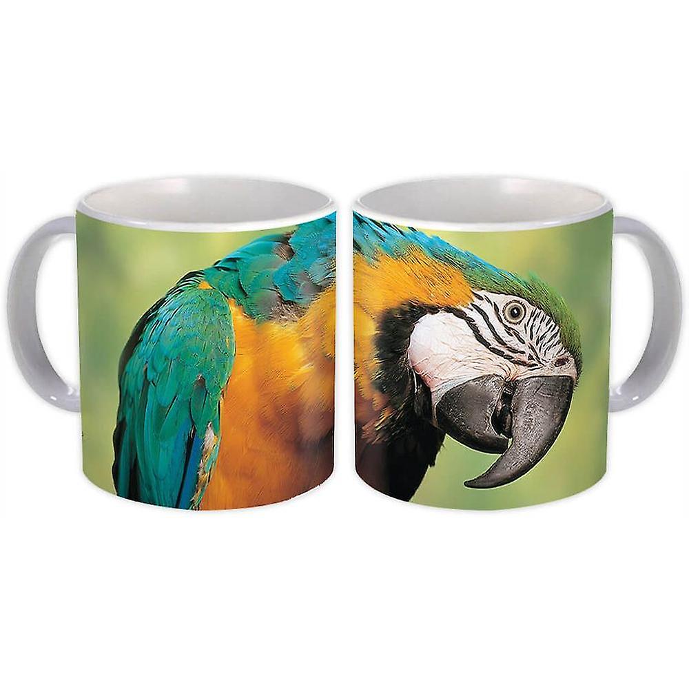 Gift Mug: Macaw Bird