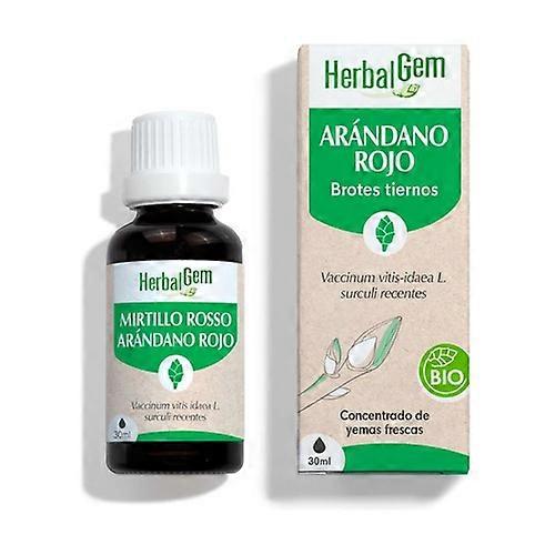 Bio blueberry drops 30 ml
