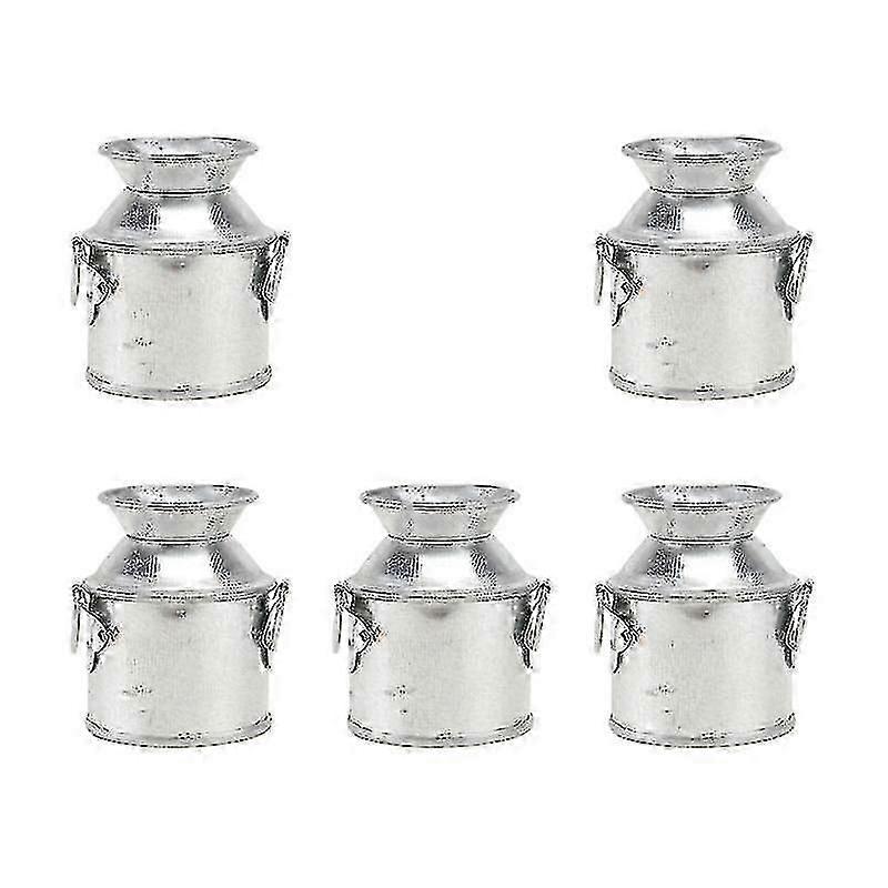 unique 5pcs Gardening potted plants, Micro Landscape