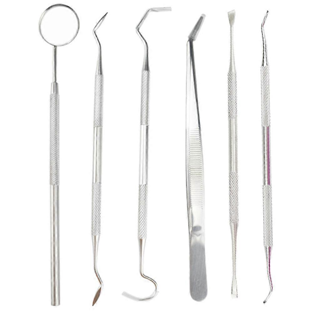 ペット歯科ケアキット、外科用グレードのステンレス鋼、高品質の歯垢除去、毛皮のような友達のための手頃な価格の歯のケア、ポータブルデザイン、ISO