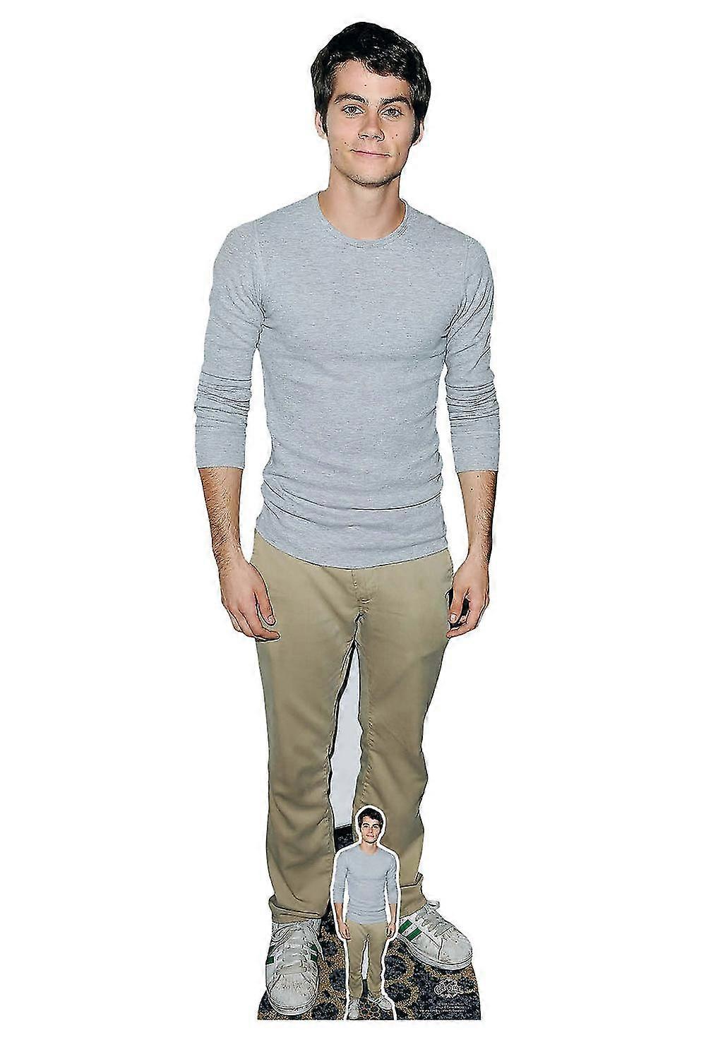 انقطاع من الورق المقوى بالحجم الطبيعي أو حامل لعرض القميص الرمادي