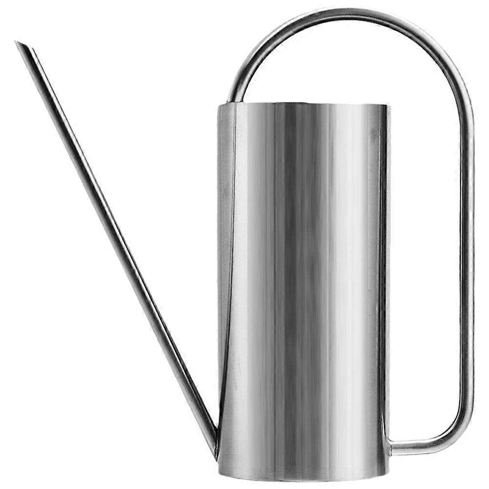 Stainless Steel Long Spout Watering Can for Indoor Plants, Large Capacity for Flowers and Succulents