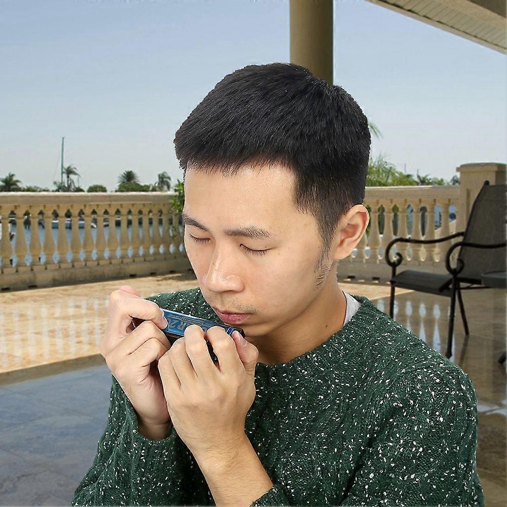Harmonica 10 Hole 20 Tone Key of C Blues Mouth Organ  Musical Instrument for Beginner (Blue)