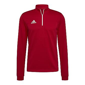 Adidas Entrada 22 H57556 träning året runt män