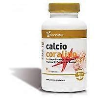 Coral Calcium 100 capsules