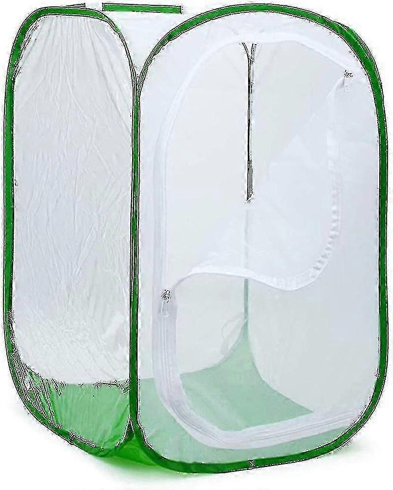 Foldable insect cage compatible with butterfly terrarium