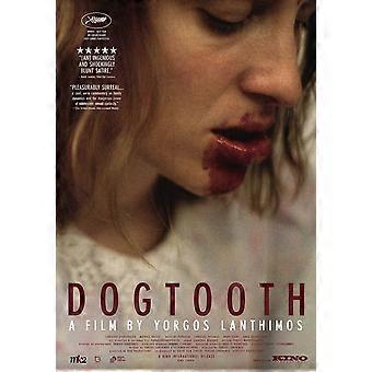 Dogtooth Movie Stress-Relieving Puzzle BD-2013