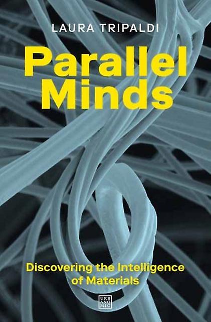 Parallel Minds by Matteo de Giuli Paperback