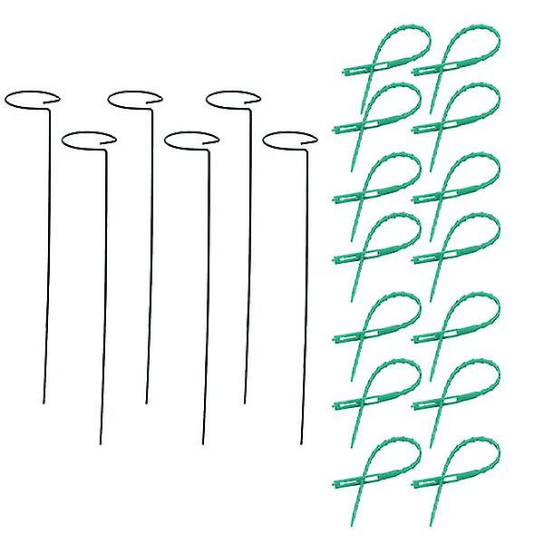 Flower Support Frame Garden Support Stick Garden Single Stem Support