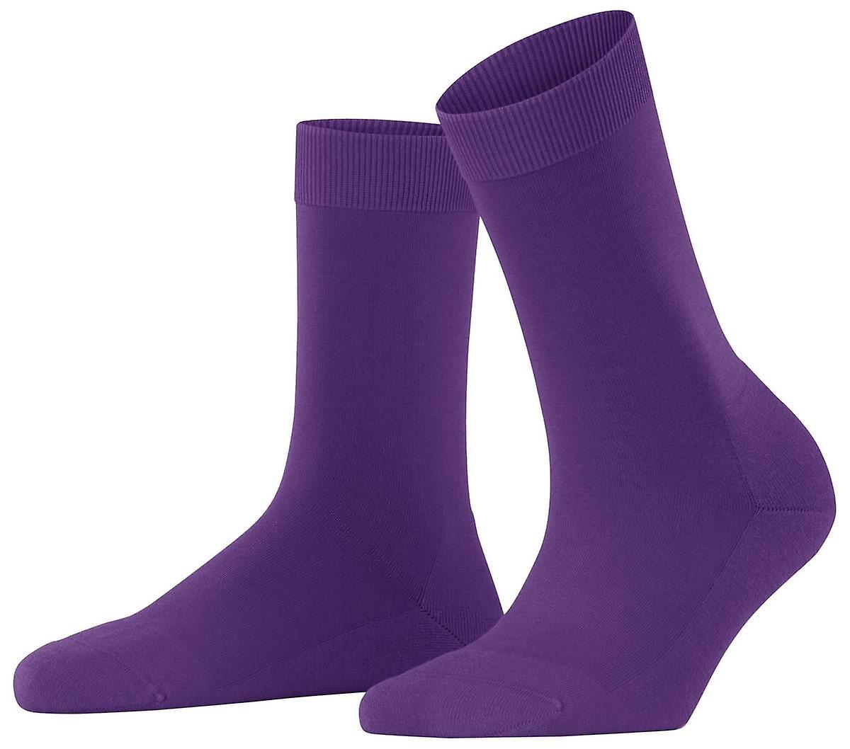 Falke Climawool Sock - Petunia Purple