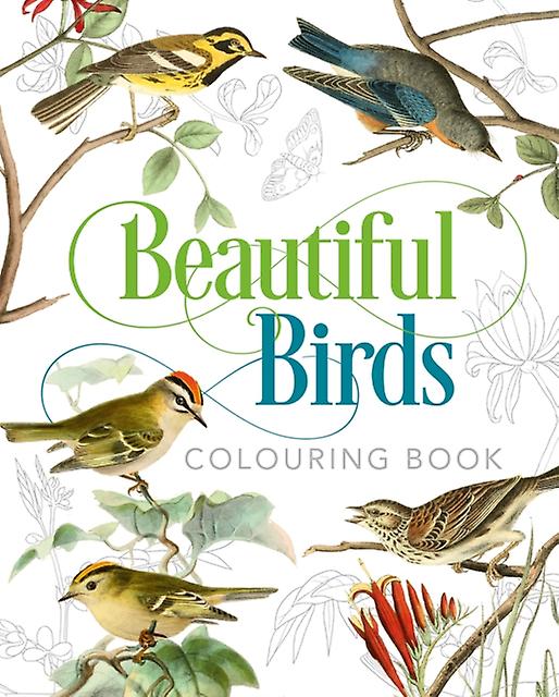 Beautiful Birds Colouring Book by Peter Gray Paperback