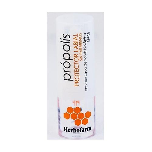 Lip balm propolis 4 g