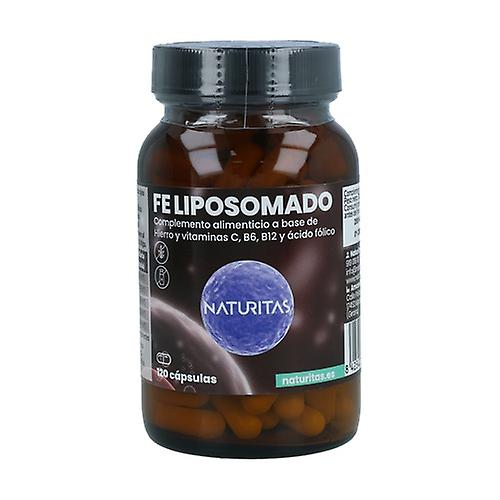 liposomal iron 120 capsules