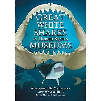 Great White Sharks In United States Museums - Alessandro De Maddalena