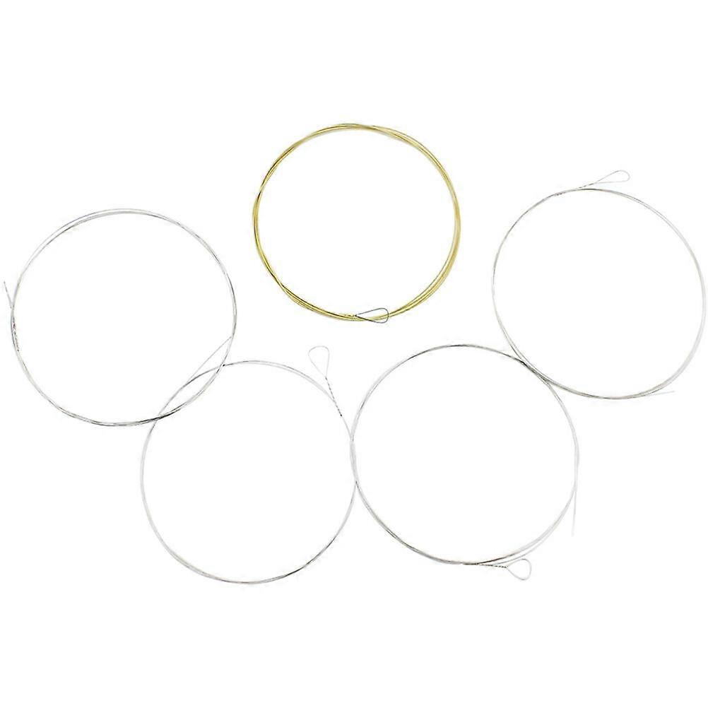 5pcs Banjo Strings 5 String Banjo Strings Stainless Steel Wire Strings Cordons d’instruments à cordes