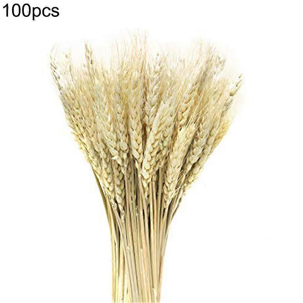 100Pcs αποξηραμένη δέσμη στελεχών σιταριού, τεχνητό σπίτι ντεκόρ ανθοδέσμης σίτου, γραφείο