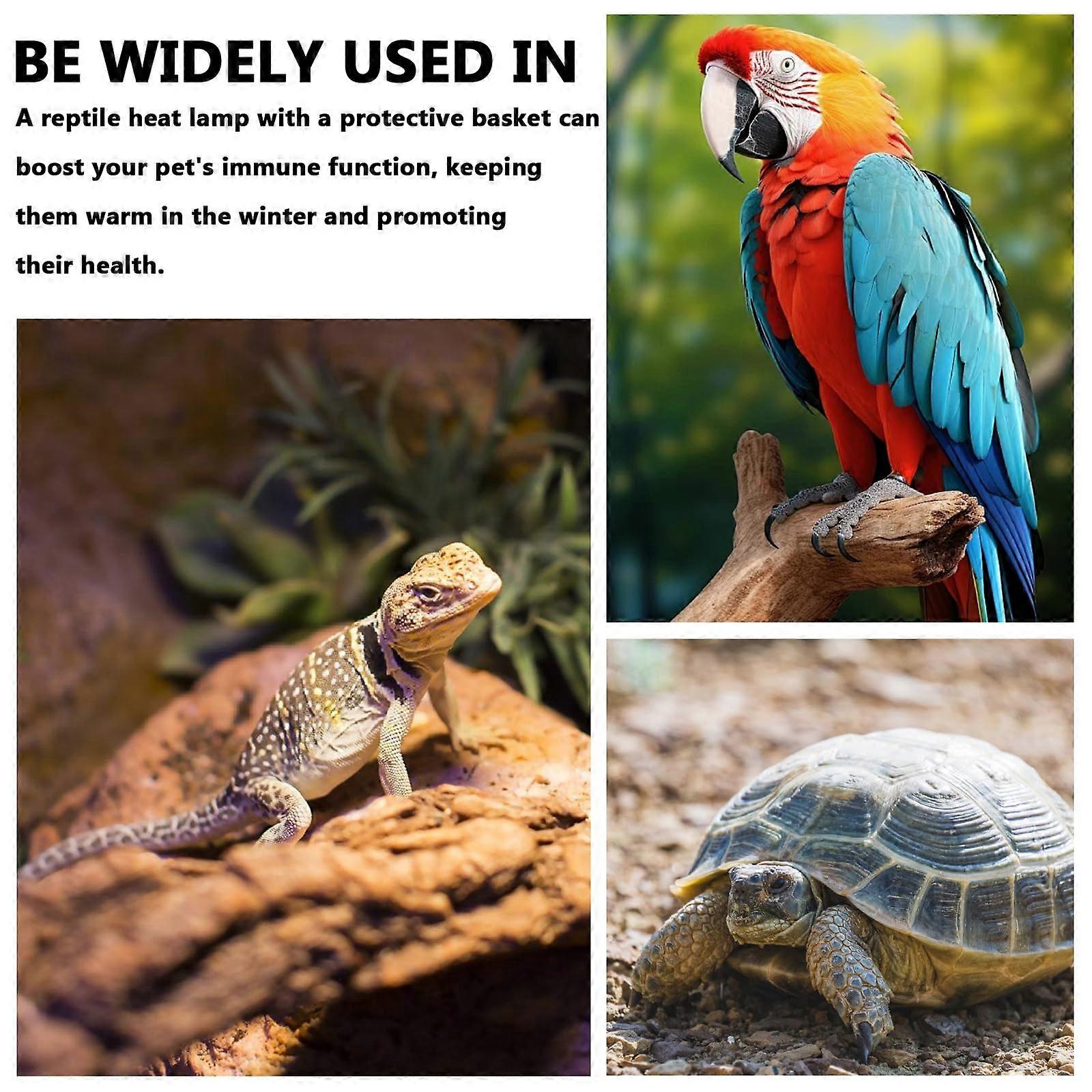 nice Reptile Heat Lamp with Cage, Ceramic Reptile Heat Lamp, Reptiles ... - Why Use A Heating Pad Or Heat Lamp For Reptiles