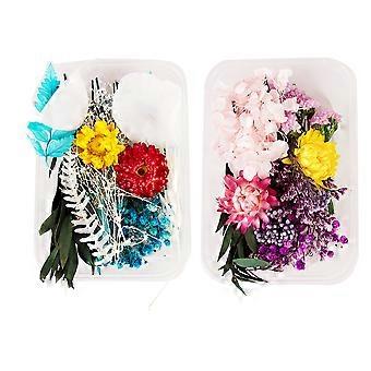 2Box Flores secas para resina Moldes de joyería para bricolaje Artesanía Arte de uñas Vela Fabricación de jabón Funda de teléfono Joyería Colgante Decoraciones florales