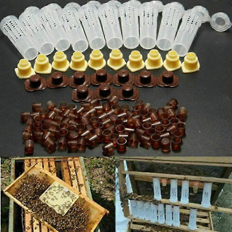 Bee Complete Set Queen Breeding Beekeeping Beekeeping Supplies Beekeeping System