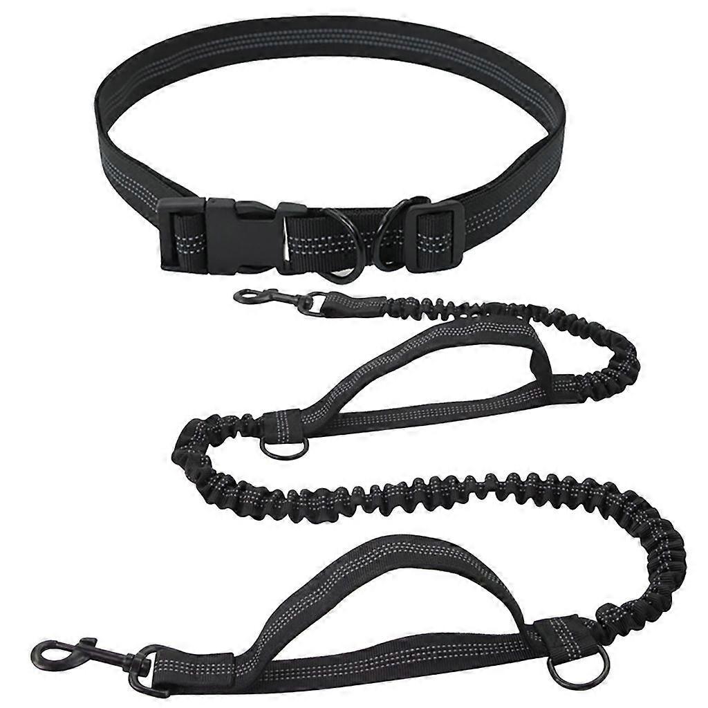 D-Ring Retractable Hands-Free Reflective Leash Long Cord Pet Running Leash for Everyday Use - Black