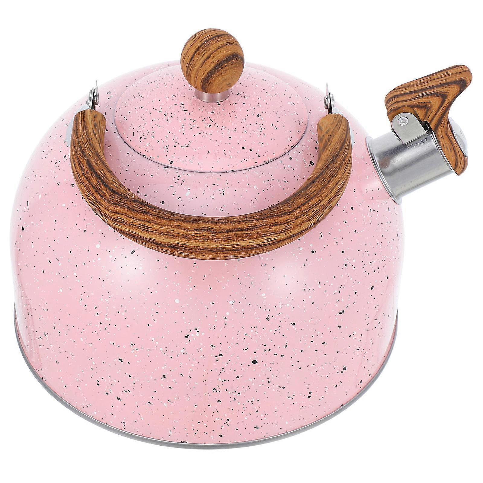 Stainless Steel Stovetop Tea Kettle with Loud Whistle, Food Grade, Ergonomic Foldable Handle for Home, Dorm, and Camping Use