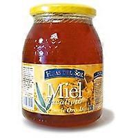 Eucalyptus Honey 1 kg