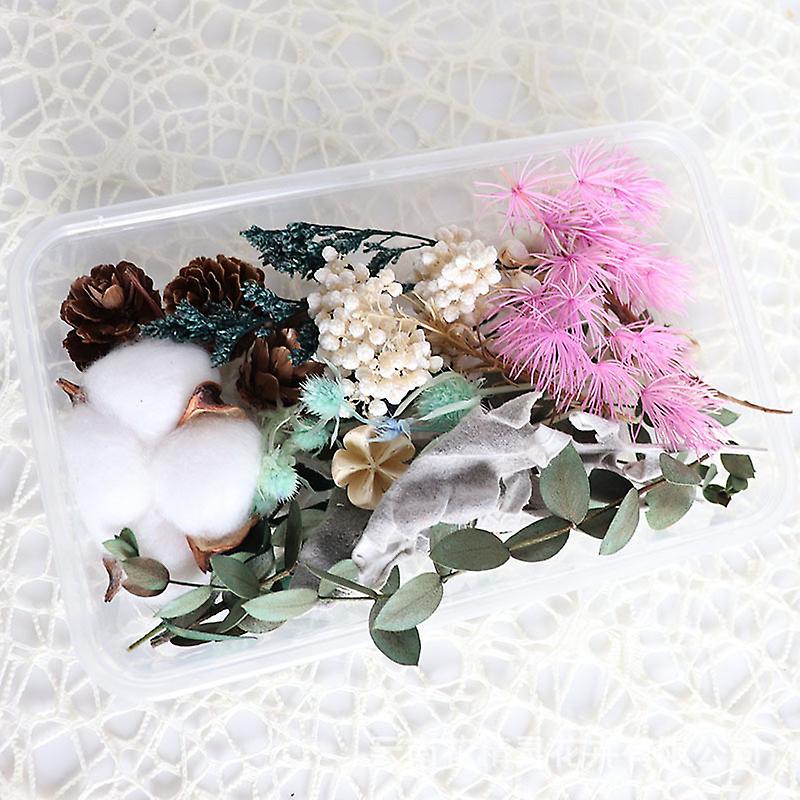 Ægte tørrede blomsterplanter til DIY-tilbehør Flere blomstermateriale til aromaterapi stearinharpiks
