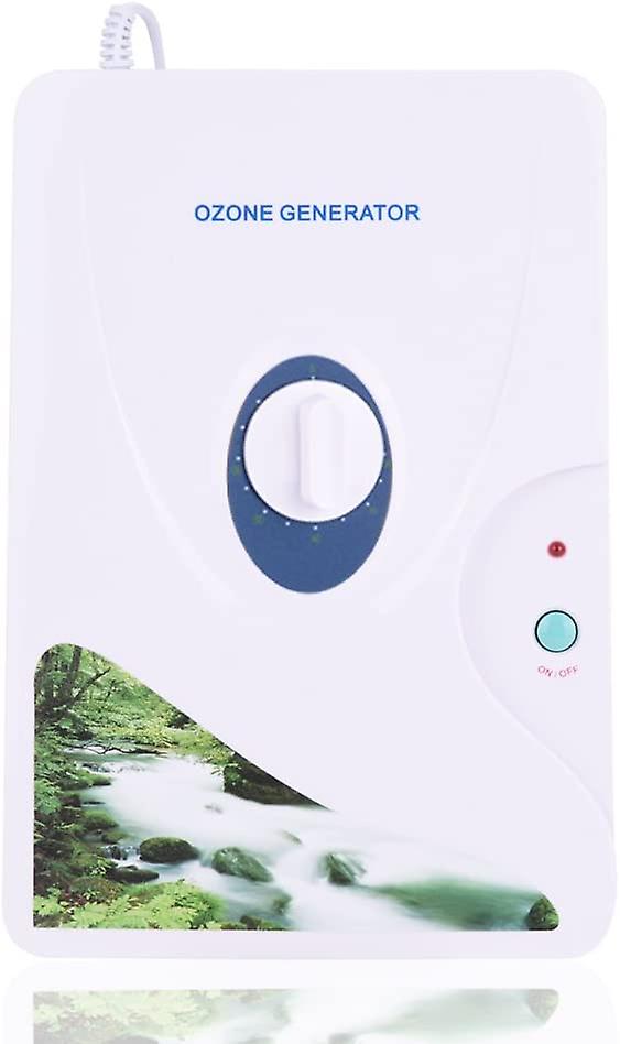 Ozone Generator for Oil Vegetable Meat Salon 600mg/h Digital Ozone Generator