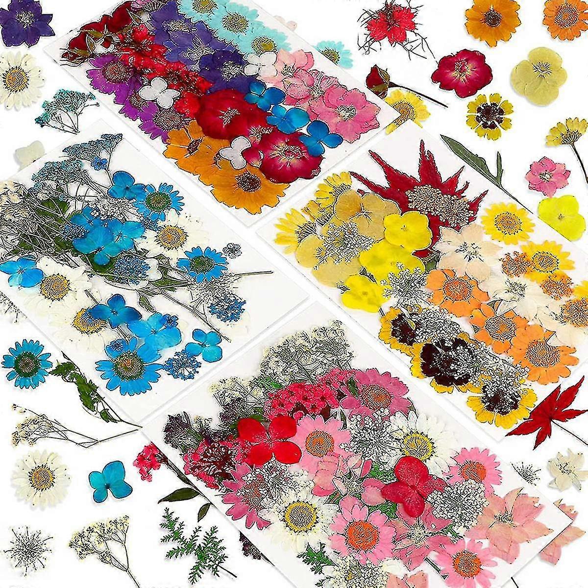 144pcs Dried Pressed For Resin,dry Flower Bulk Herbs Kit For ,epoxy R